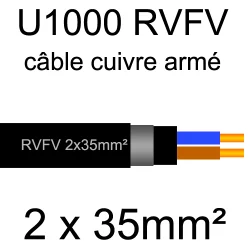 câble électrique armé renforcé âme cuivre U1000 RVFV 2 conducteurs section 35mm²