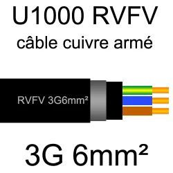 câble électrique armé renforcé âme cuivre U1000 RVFV 3 conducteurs section 6mm²
