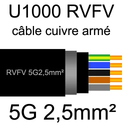 câble électrique armé renforcé âme cuivre U1000 RVFV 5 conducteurs section 2.5mm²