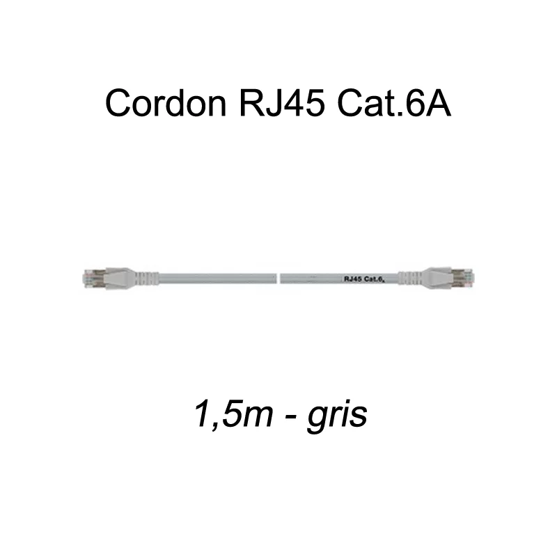 Cordon Ethernet RJ45 Cat.6A
