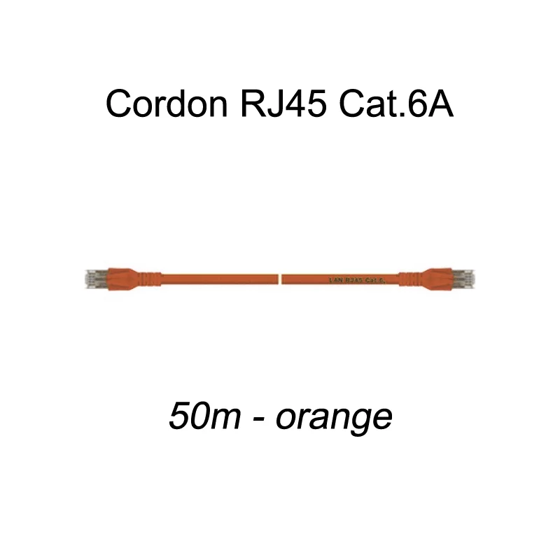 Cordon Ethernet RJ45 Cat.6A