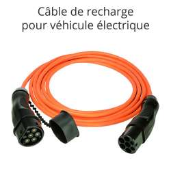 câble de recharge de voiture electrique 3.7kw monophasé 5m