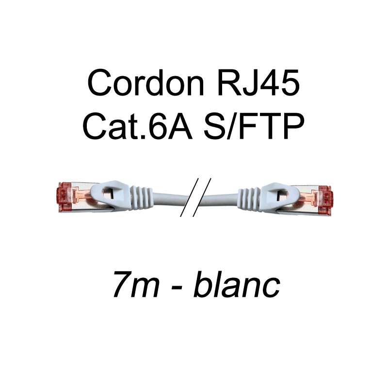 Cordon Ethernet RJ45 Cat.6A S/FTP