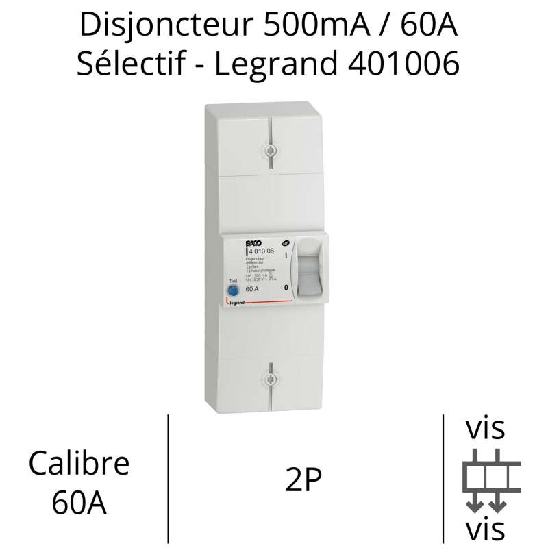 Disjoncteur Bipolaire Legrand 60A Non Différentiel, Référence 401052, Neuf